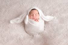 Mégane GEHANT - Mégane Gehant - Photographe