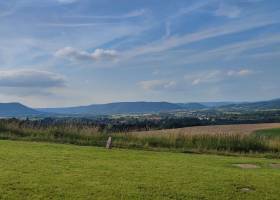 Amandine LAMRI - LAMRI