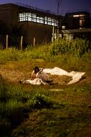 Nicolas RIFFAUD - Nicolas RIFFAUD