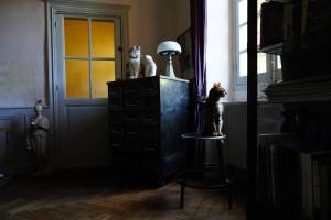 Olivier ALLARD - ALLARD OLIVIER